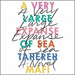 A Very Large Expanse of Sea (audiobook)