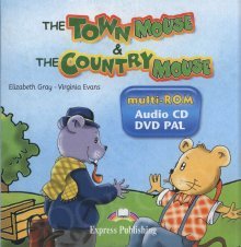 Town Mouse & The Country Mouse Multi Rom