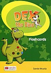 Dex the Dino Flashcards