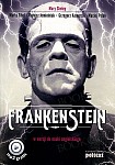 Frankenstein w wersji do nauki angielskiego Książka+ mp3 do pobrania